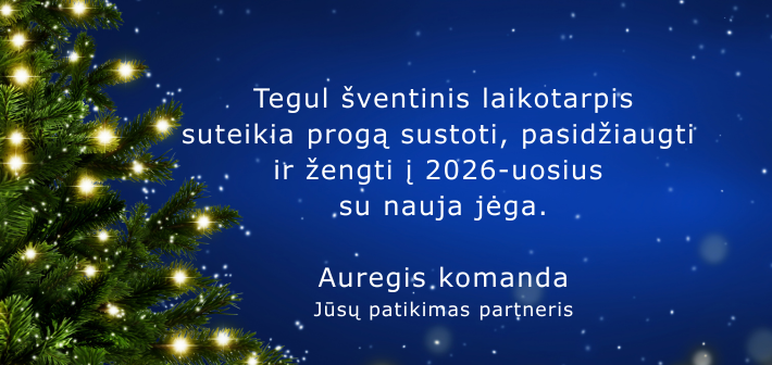Žengti į 2026 su nauja jėga